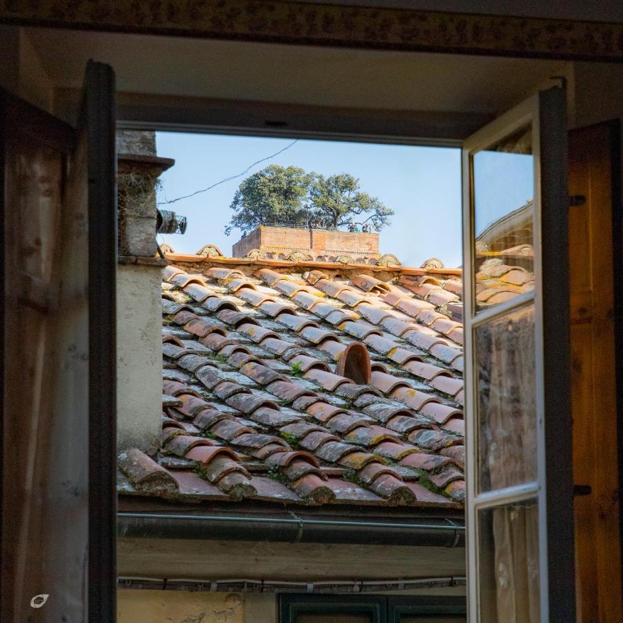 Apartment Casa Anna *